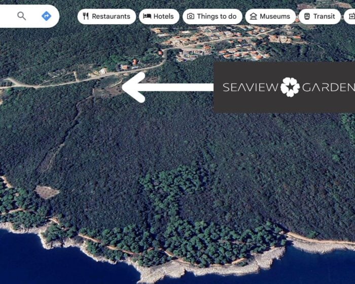 3c14b2ee-f533-1ca4-d768-3c124b65f894