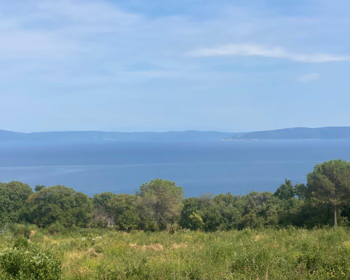 WhatsApp Image 2025-07-20 at 12.02.55 PM