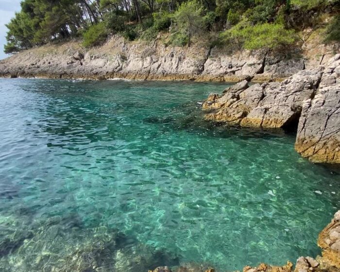 WhatsApp Image 2025-07-27 at 6.38.09 PM (1)