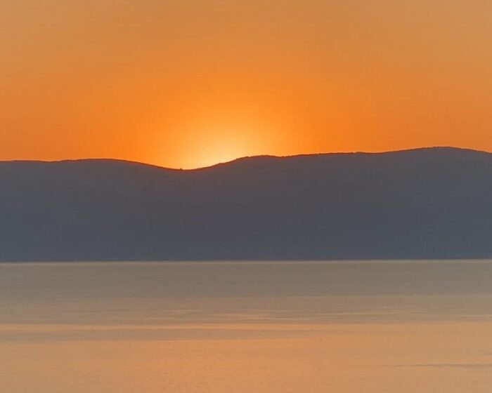 WhatsApp Image 2025-07-29 at 11.15.36 AM