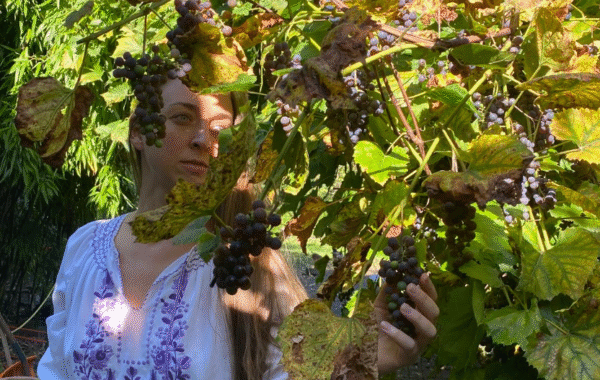 Mediterranean lifestyle Istria featuring local food markets and organic produce