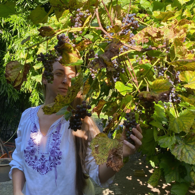 Mediterranean lifestyle Istria featuring local food markets and organic produce