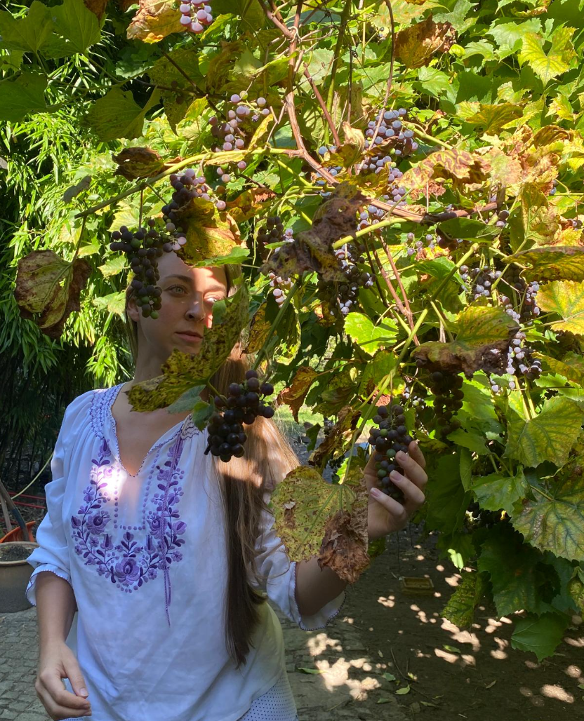 Mediterranean lifestyle Istria featuring local food markets and organic produce